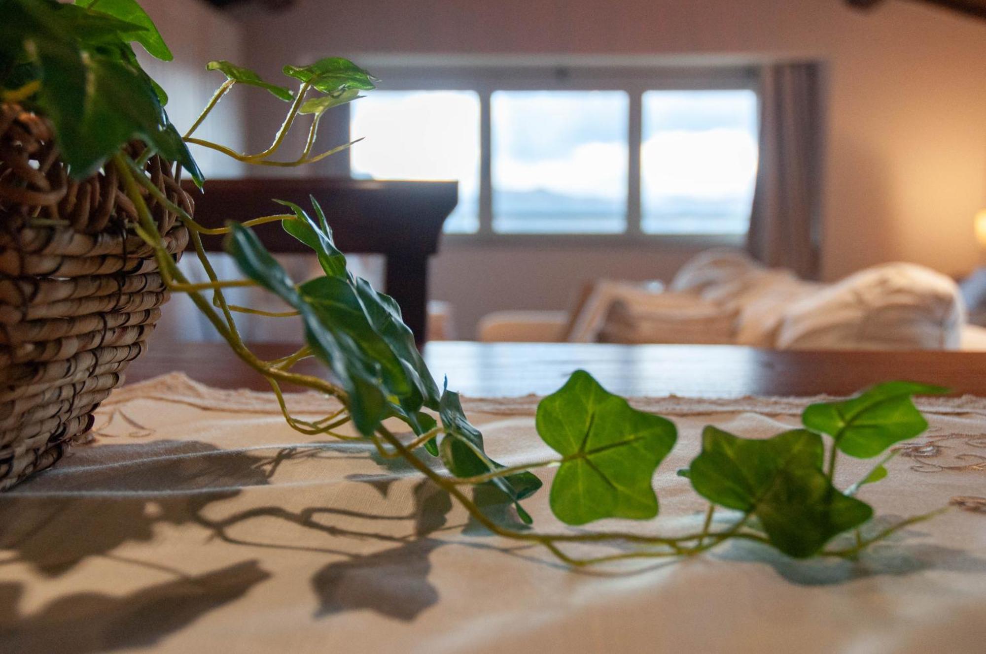 Antica Residenza Montereano Villa กุบบีโอ ห้อง รูปภาพ